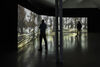 Image shows visitors watching a film in the gallery projected over large screens to the left and centre of the photograph. The film shows a landscape with a green glowing swamp and trees. 